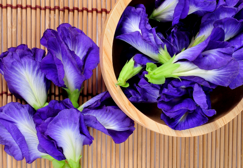 Hỗ trợ làm đẹp da – Cải thiện sức khỏe làn da